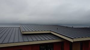 Best Metal Roofing Installation  in Temple City, CA